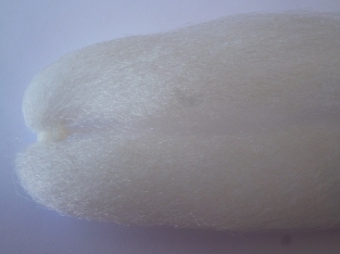 Congohair White